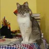 Отзыв от Эмма Чистякова